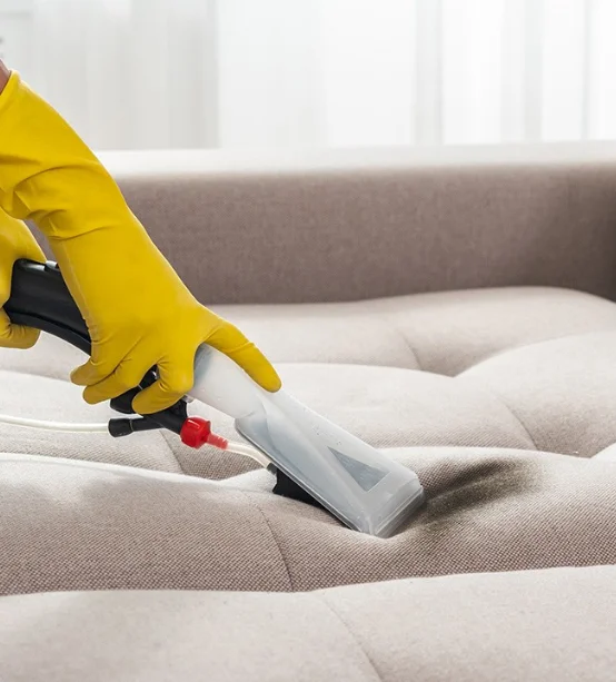 Upholstery Cleaning